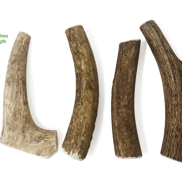Buck Bone Organics - Wholesale Pet Chew Toy - Dog - Bulk Whole Elk Antler Dog Chews 2 LB Box5