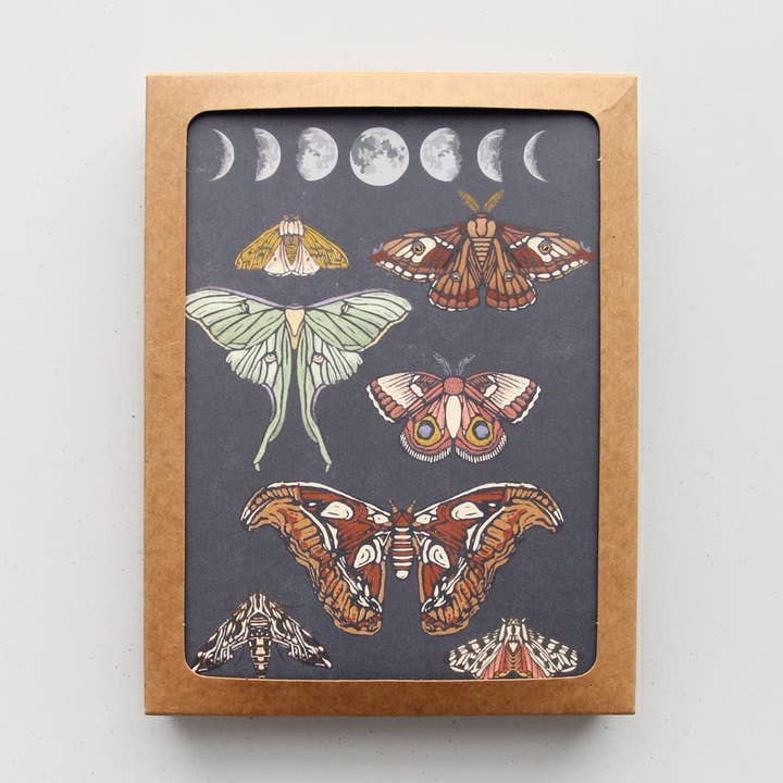 Moonlit Moths Everyday Boxed Card Set of 8 for wholesale by Root & Branch Paper Co.