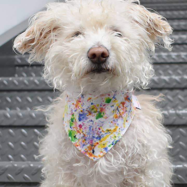 MODERNBEAST – wholesale Pet bandana – Dog – PRIDE BANDANAS (Options Available)2