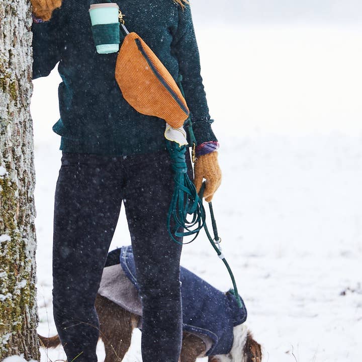 The Amsterdam dog bag & click-on leash for wholesale by Foxc