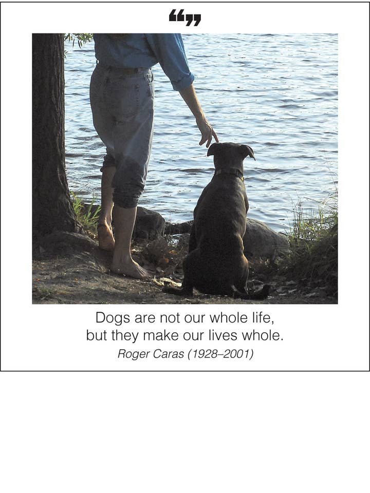 Dogs are not our whole life Magnet for wholesale by The Borealis Press Inc