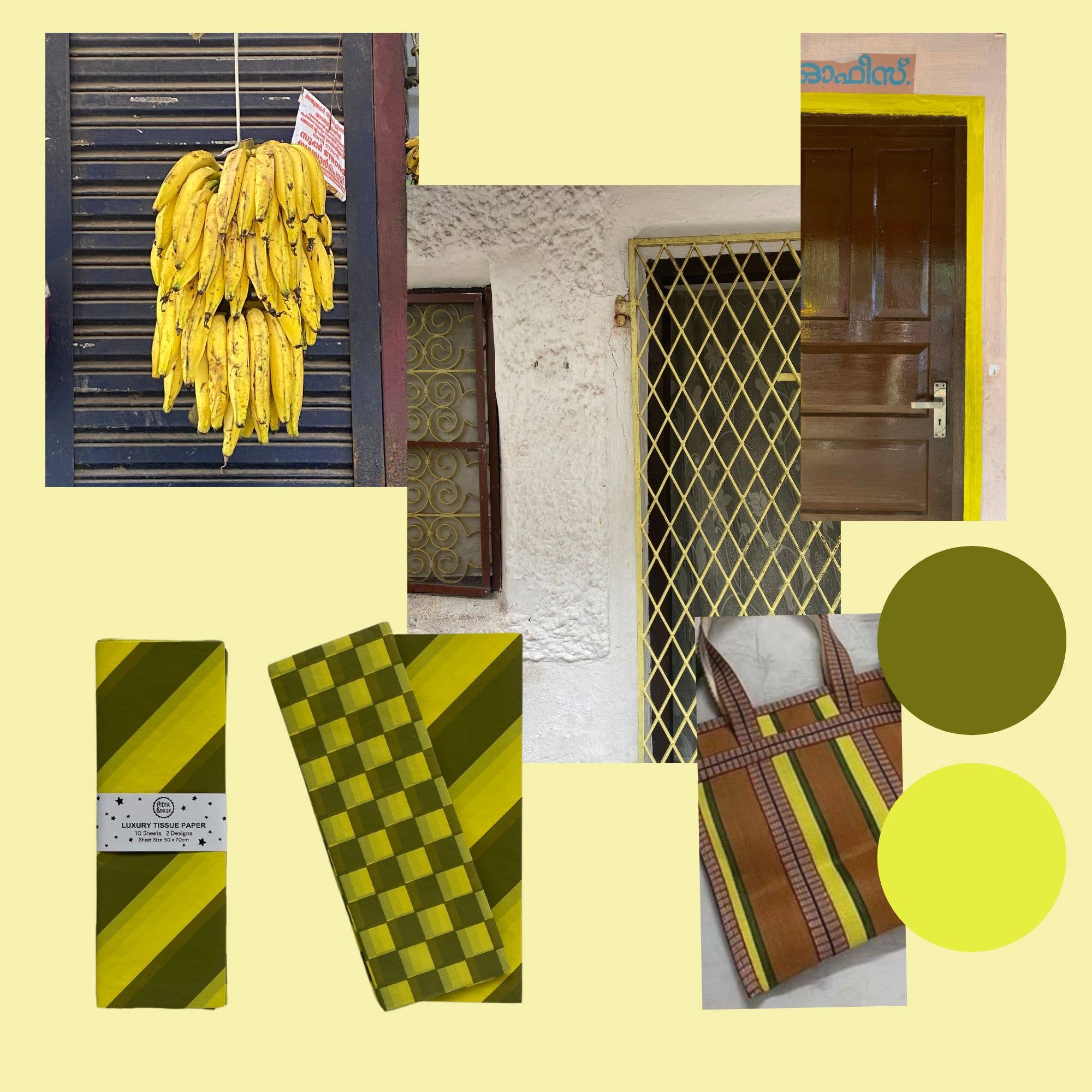 Petra Boase Ltd (US Duties Paid) – wholesale Tissue paper – Luxury Patterned Tissue Paper Gift Wrap | Olive/Yellow1