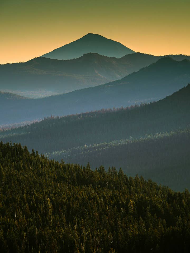 Nature Best Seller Prints - Set 01 (10 Pack) for wholesale by EigenVision