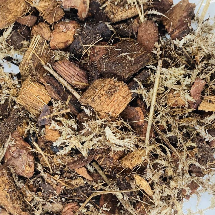 Grow-Win - Wholesale Planting/Potting Soil - Orchid substrate 4L, special phalaenopsis potting soil1