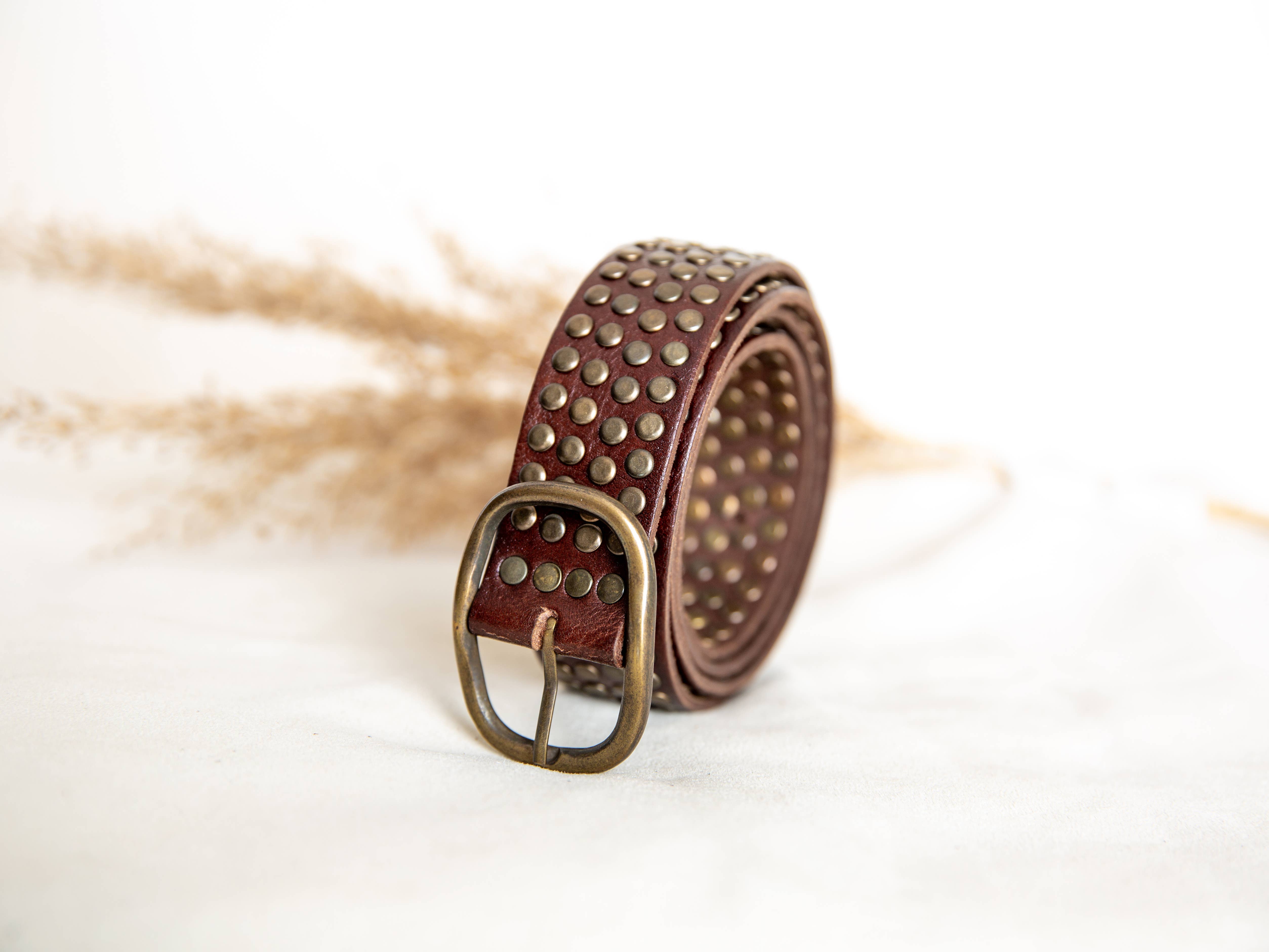 Lula Natura - Wholesale Belt - Women's - DARK BROWN LEATHER BELT WITH STUDS2