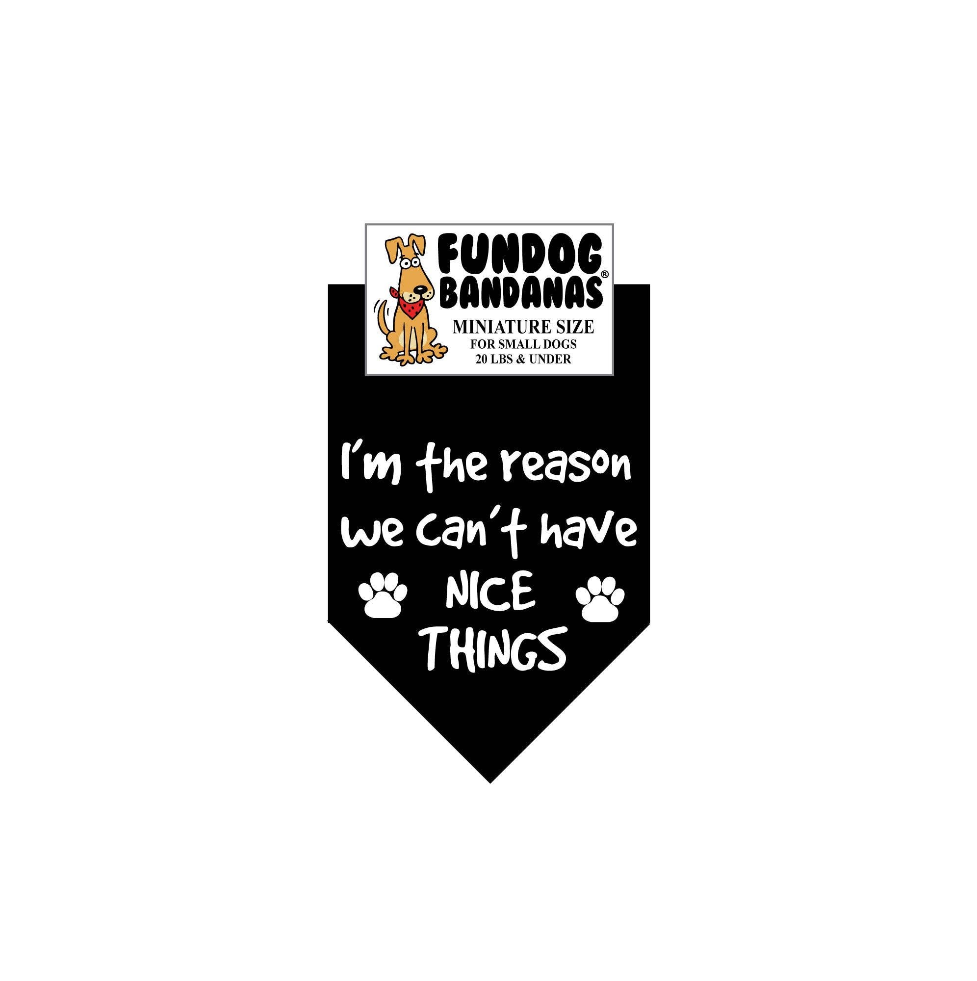 Assorted Colors Wholesale 5 Pack - I'm the reason we can't have NICE THINGS for wholesale on Faire5