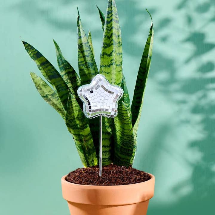 Disco Star - Disco Ball Decorative Plant Stakes for wholesale by Paloverde Botanicals