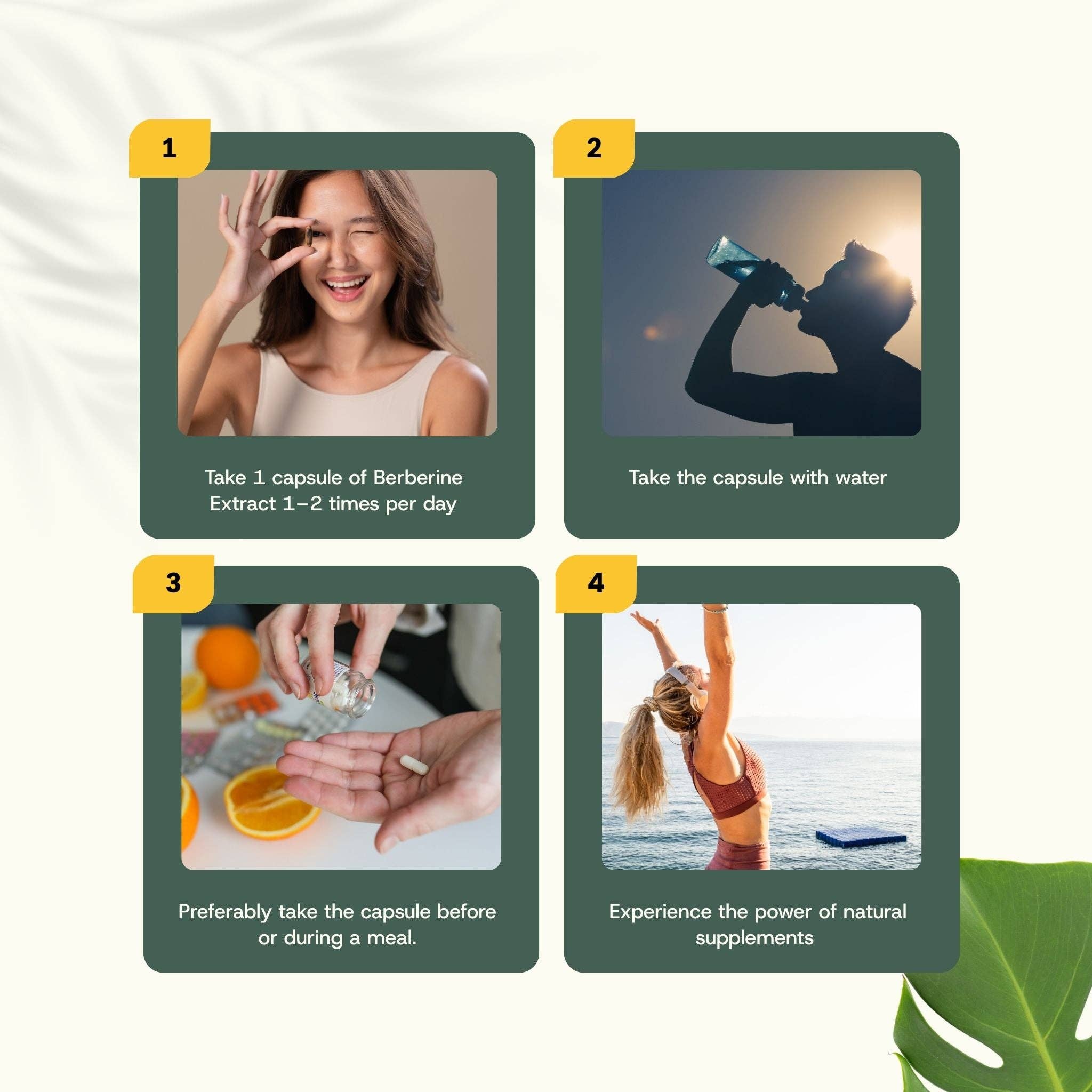 Cupplement b.v. – wholesale Oral supplement/vitamin – Berberine Extract Capsules 400 mg  60 Capsules7