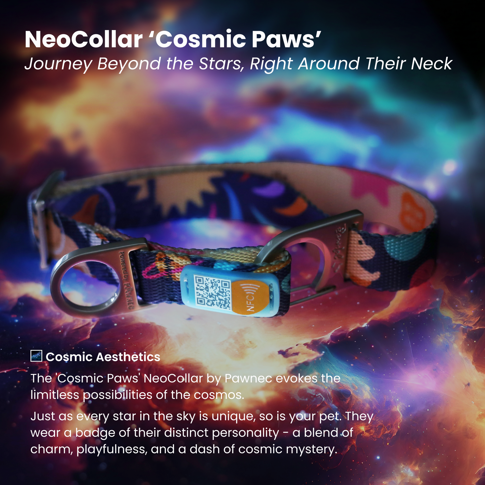 Pawnec - Wholesale Pet Collar - Cat/Dog - NeoCollar "Glow n' Go"11