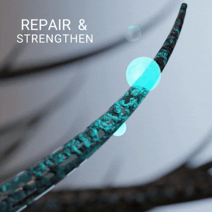 VIAI Beauty – wholesale Hair conditioner – BRB Blonde Purple Conditioner5