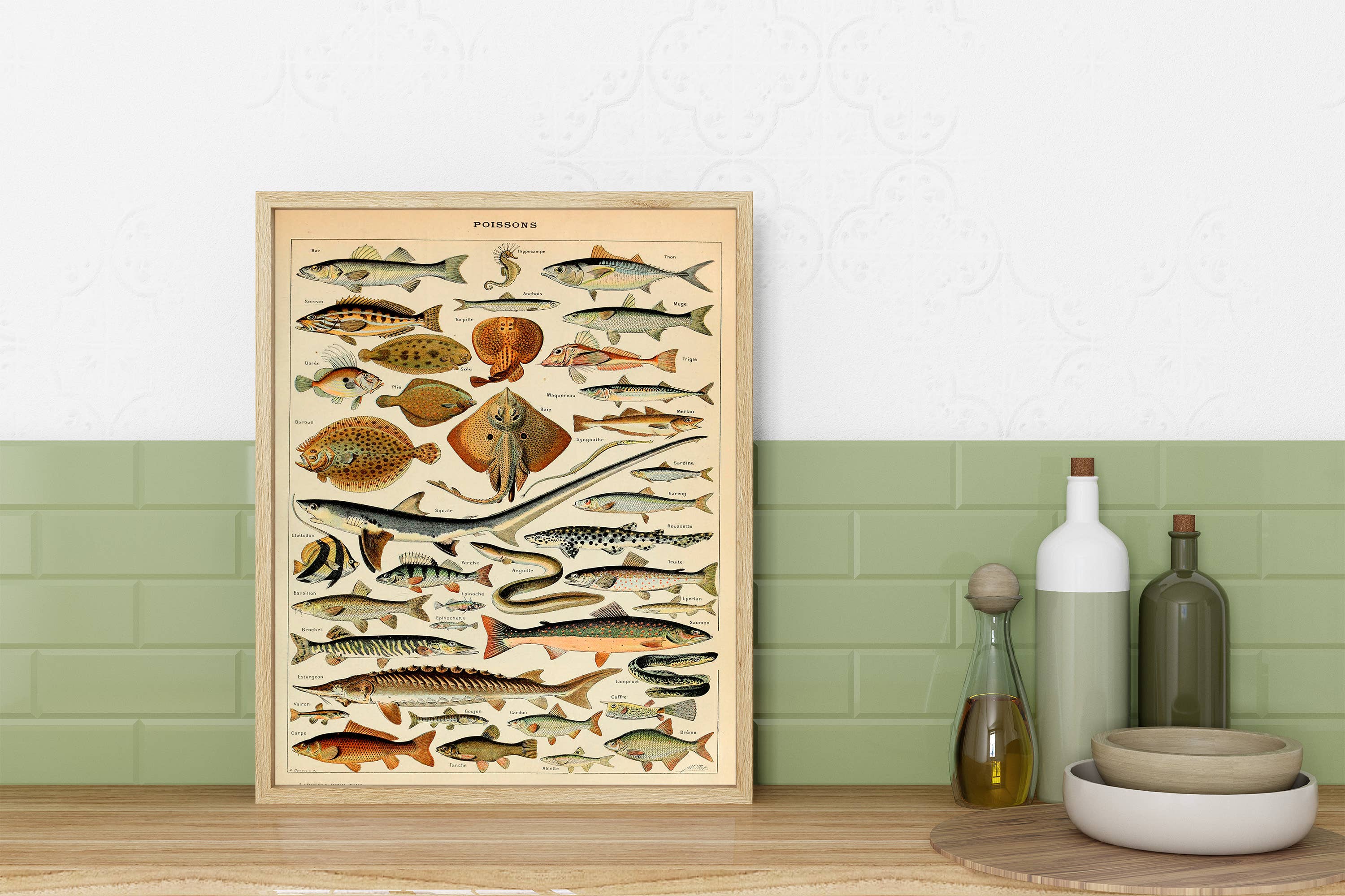 Swinford Designs - Wholesale Art Print - Vintage Fish Guide Art Print - Illustrated Chart Poissons B4
