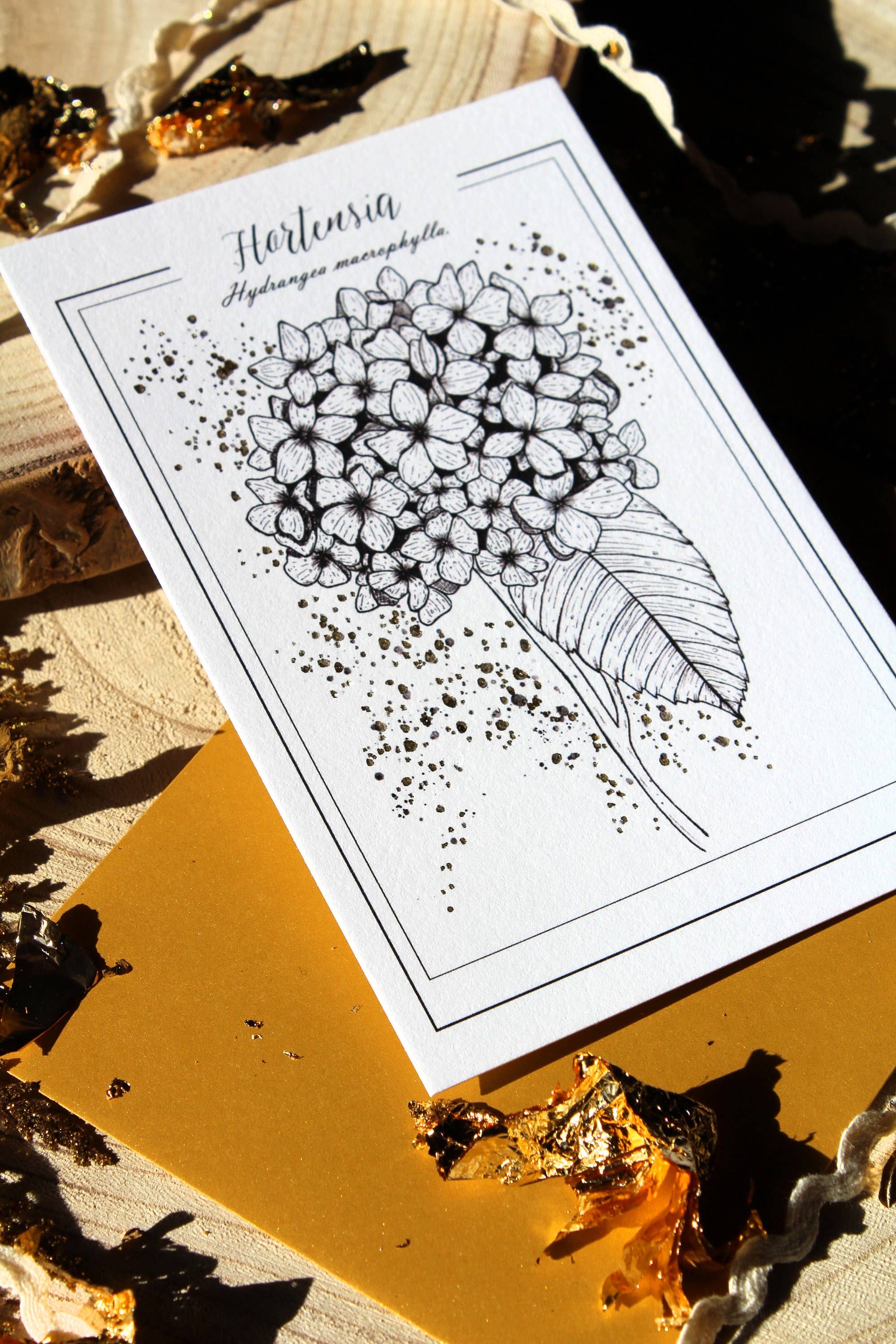 Au cœur des lunes - Vente Cartes postales - Reproduction botanique hortensia dorée et gravure1