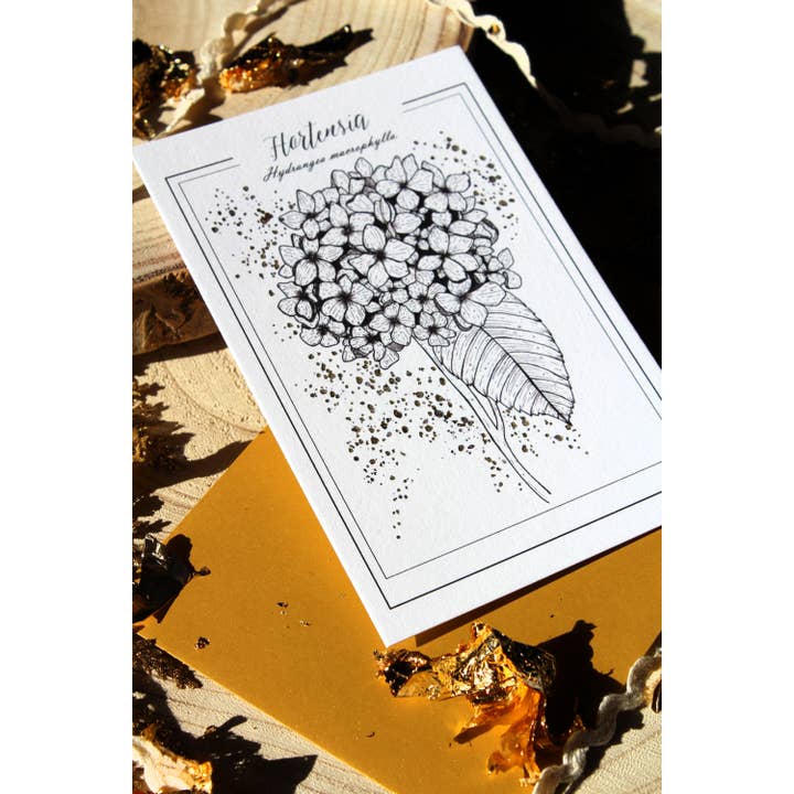 Au cœur des lunes - Vente Cartes postales - Reproduction botanique hortensia dorée et gravure1
