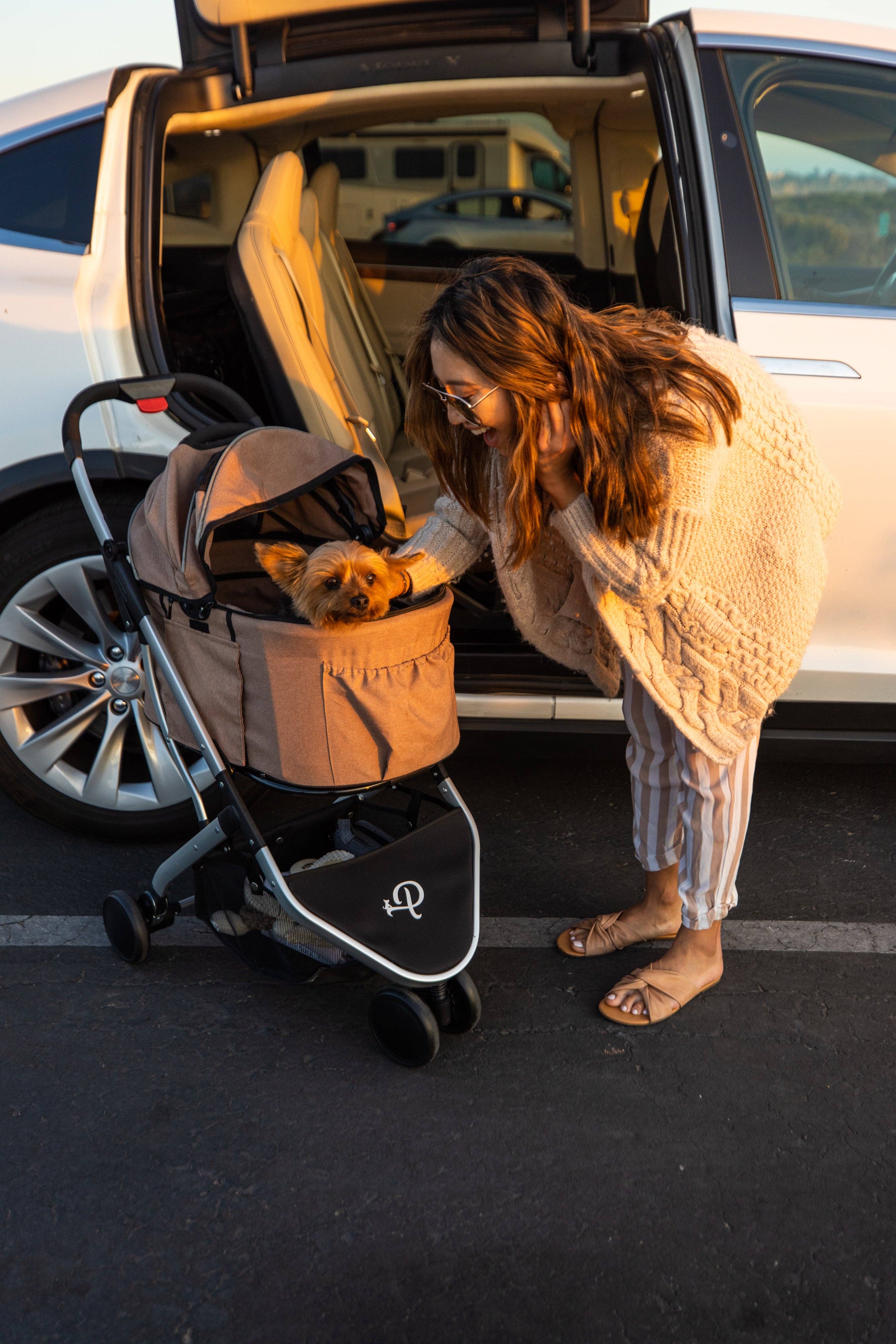 Petique - Wholesale Pet Carrier - Cat/Dog - Newport Pet Stroller (3-in-1 Travel System)18