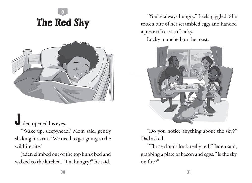 Scholastic - Wholesale Early Reader Book (6-8) - Blizzard Rescue1