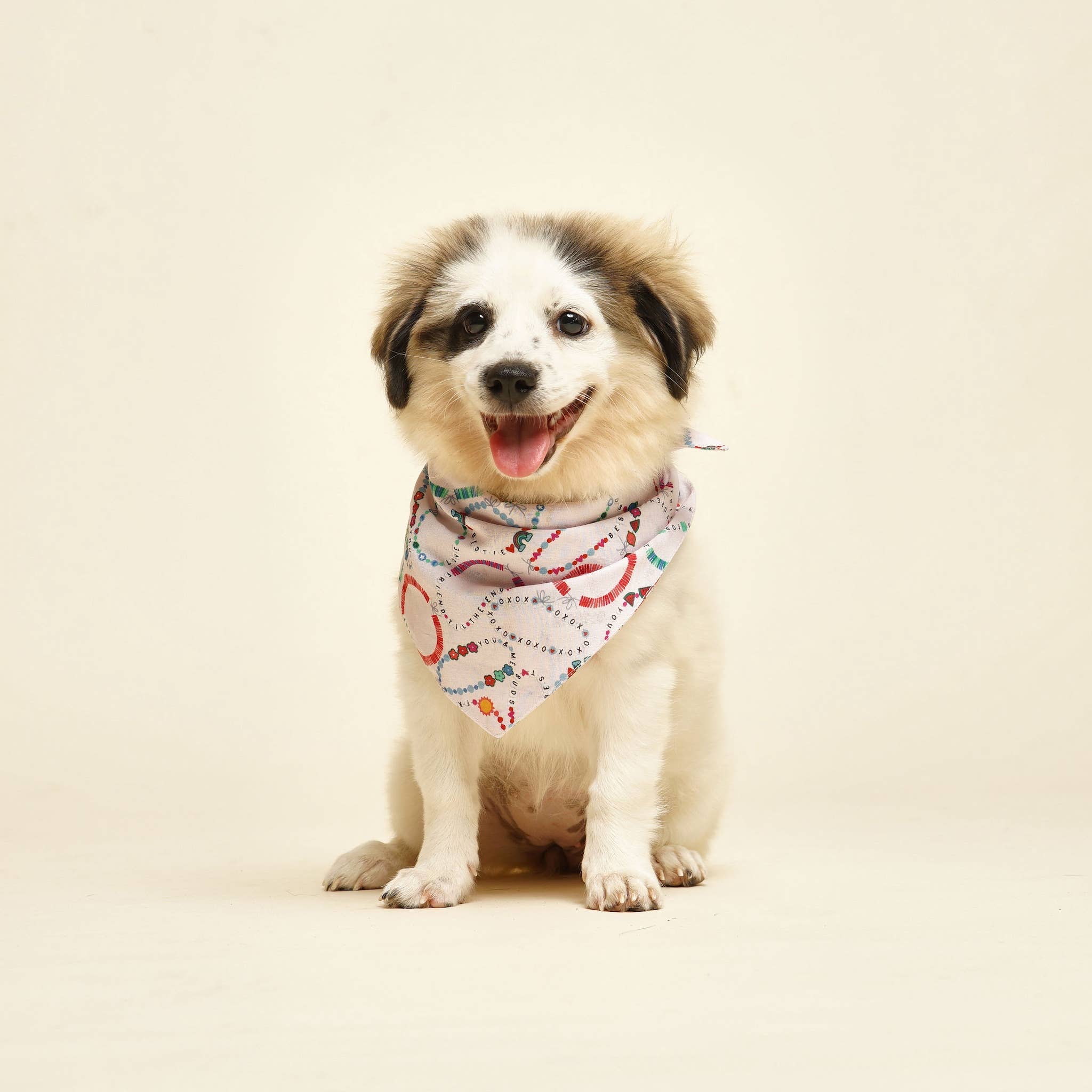 The Paws - Wholesale Pet Bandana - Dog - Bestie Friendship Bracelet Dog Bandana1