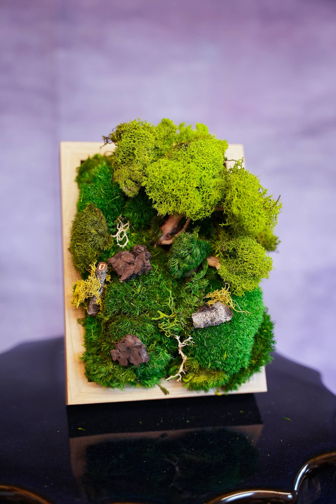 TERRART NYC - Venta al por mayor Jardinera de pared - Muro de Musgo Lienzo de la Naturaleza3