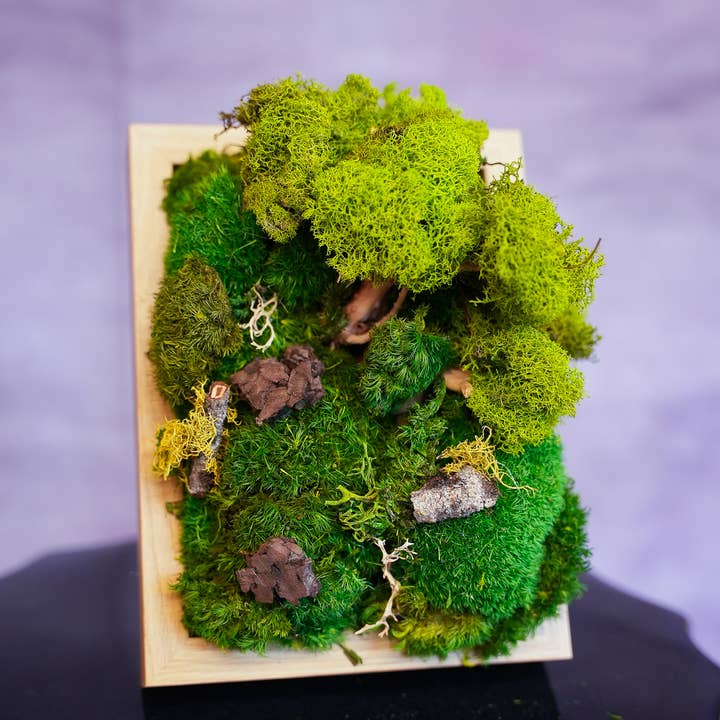 TERRART NYC - Venta al por mayor Jardinera de pared - Muro de Musgo Lienzo de la Naturaleza3