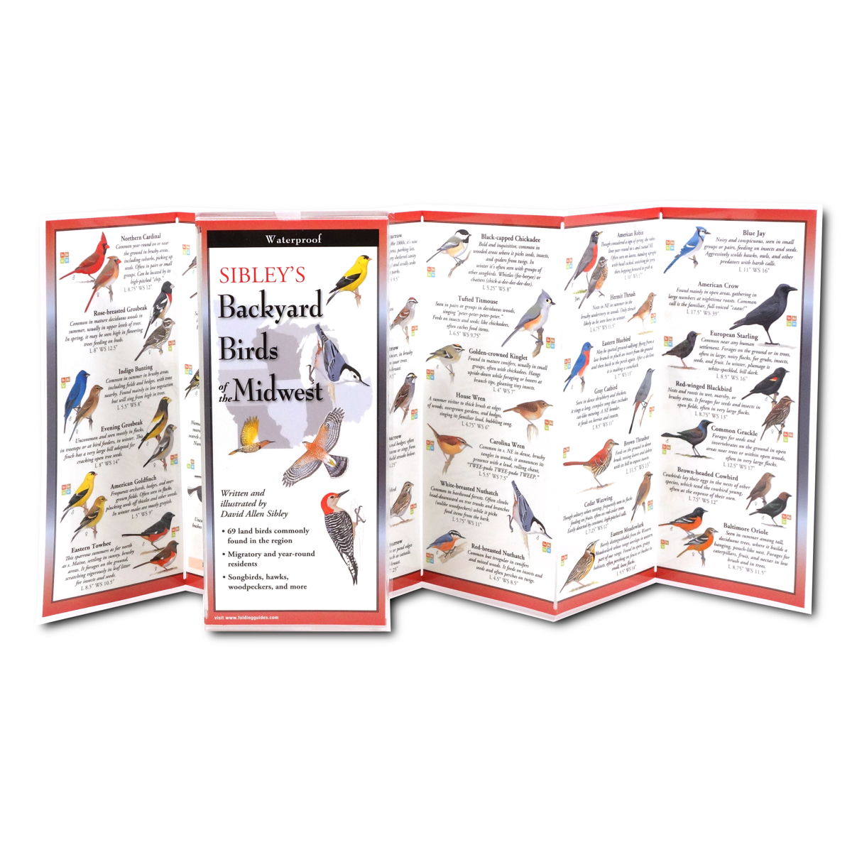 Earth Sky + Water - Wholesale Nature & Outdoors Book - Sibley's Backyard Birds of the Midwest1