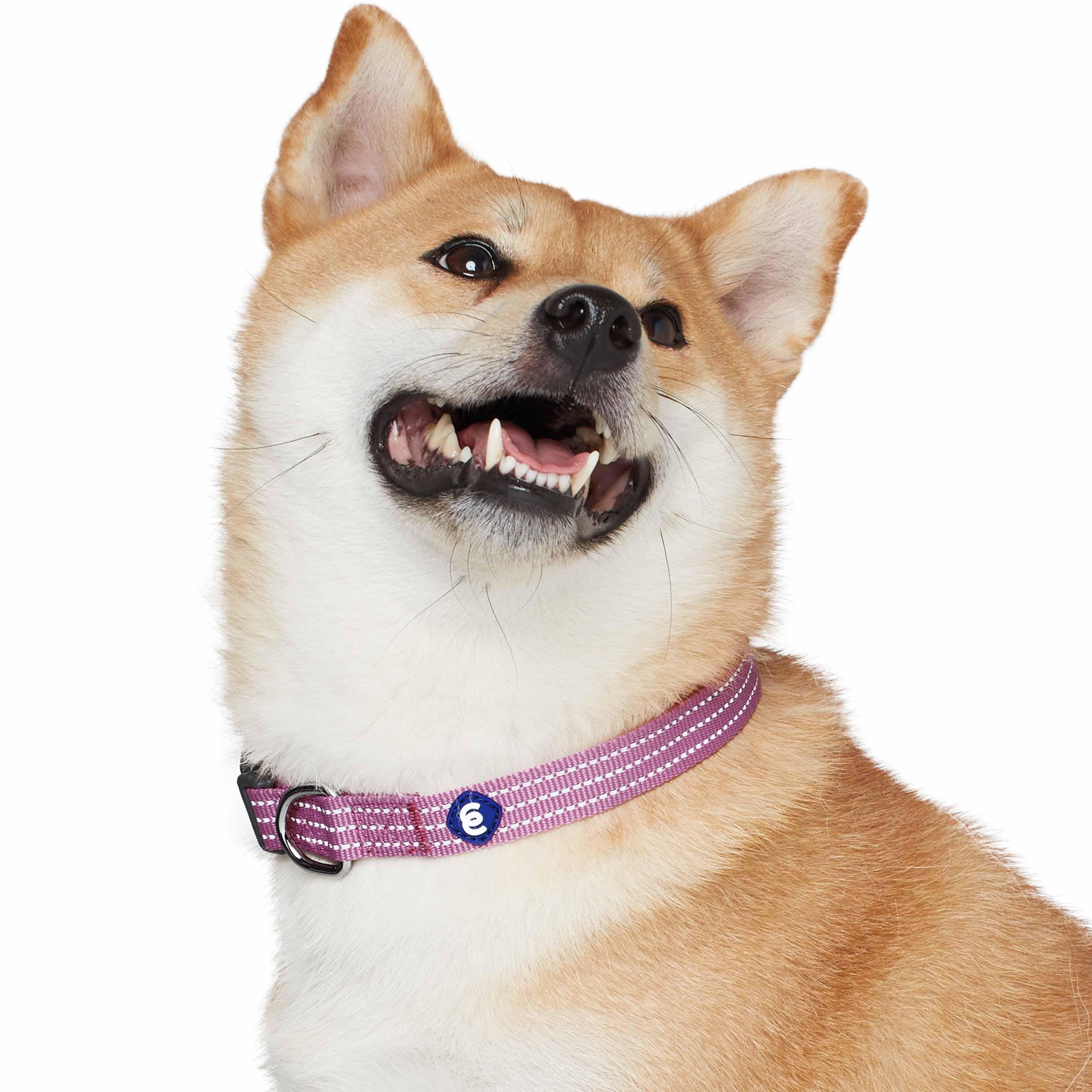 Blueberry Pet - Venta al por mayor Collar - Perros - Collar reflectante para perros Better Basic en 8 colores16