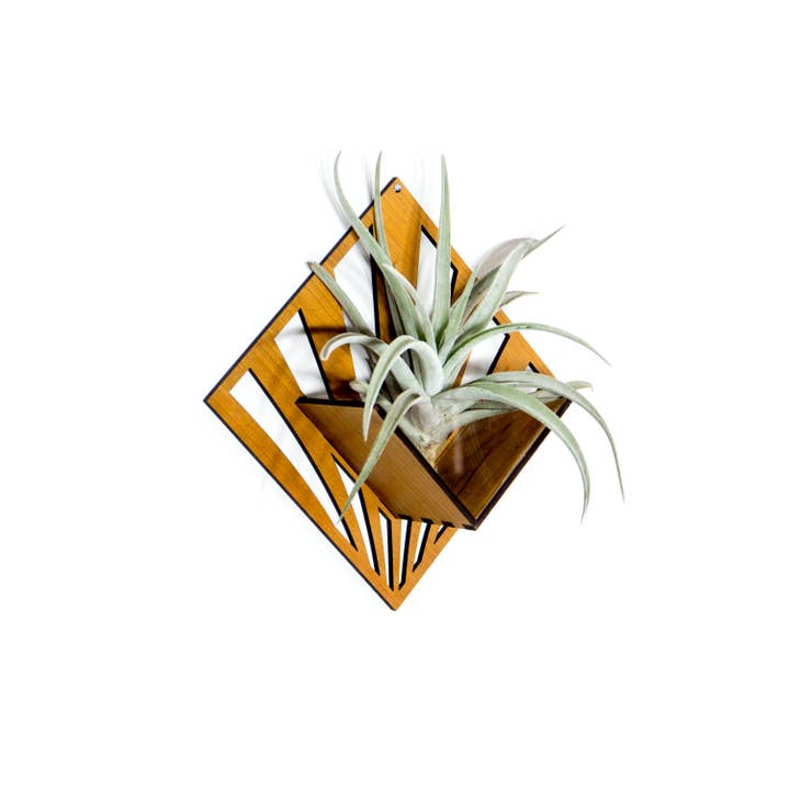 LIGHT RAZOR DESIGN STUDIO - Wholesale Wall planter - Air Plant Holder / Quadrate Wall Hanging Planter 271