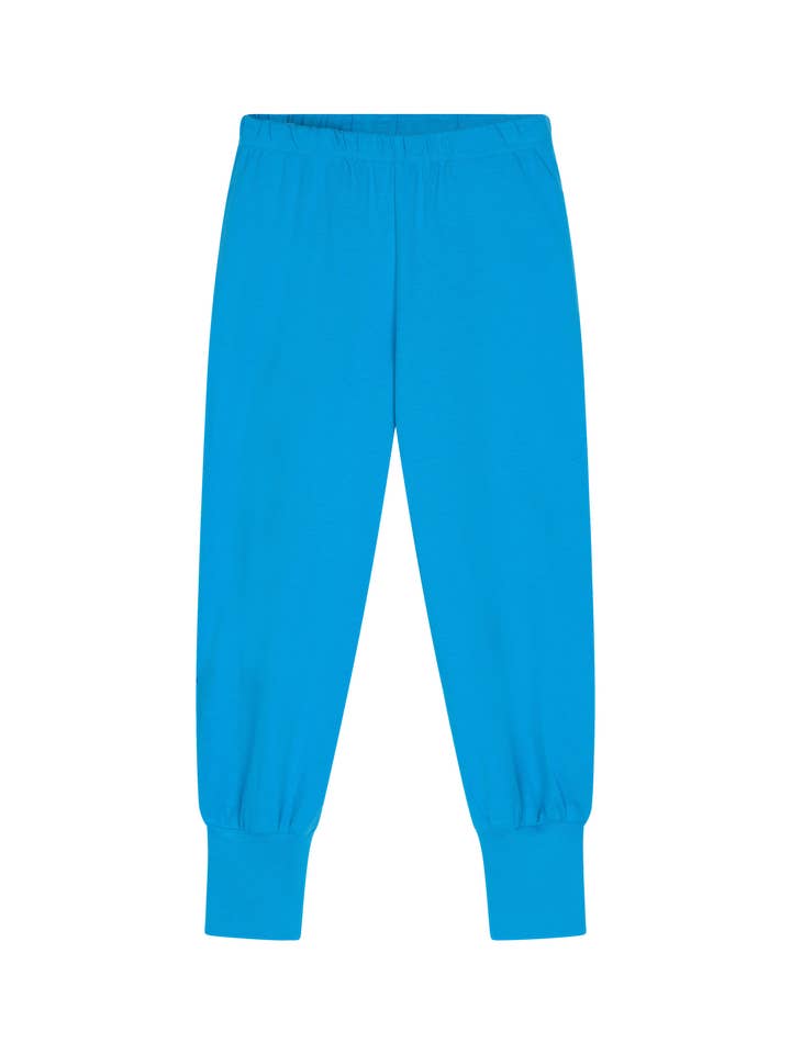 Hayden Pants - Blue for wholesale by Ameelo