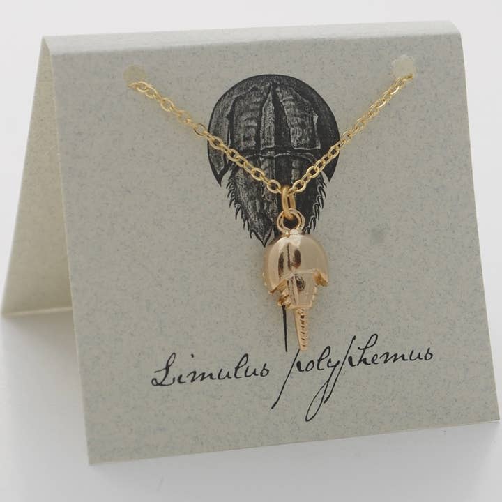 Semaki & Bird – Großhandel Kette mit Anhänger/Charm – Hufeisen-Krabben-Halskette - gold Natural History