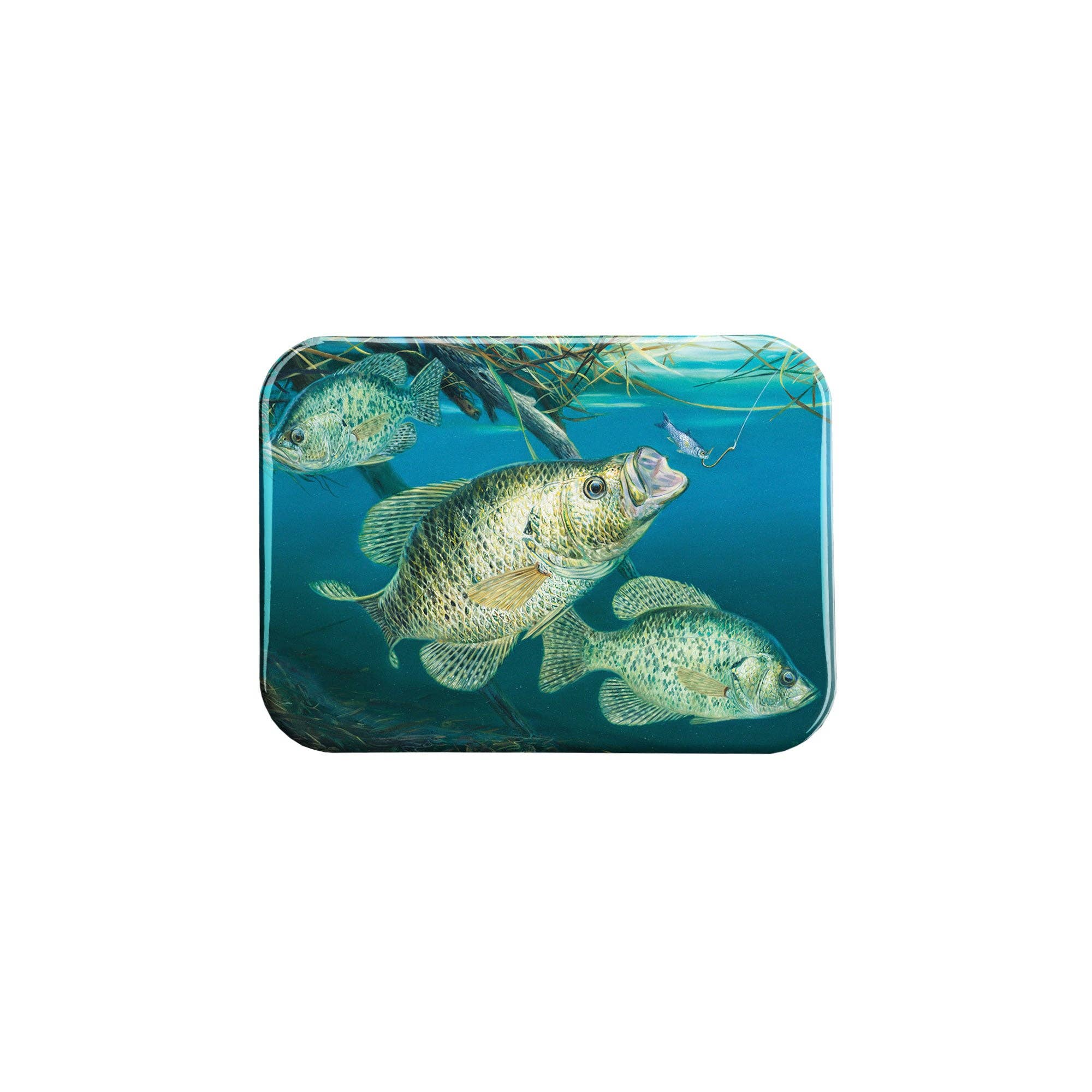 Airstrike - Wholesale Magnet - "Working Undercover" - 2.5" X 3.5" Rectangle Fridge Magnets