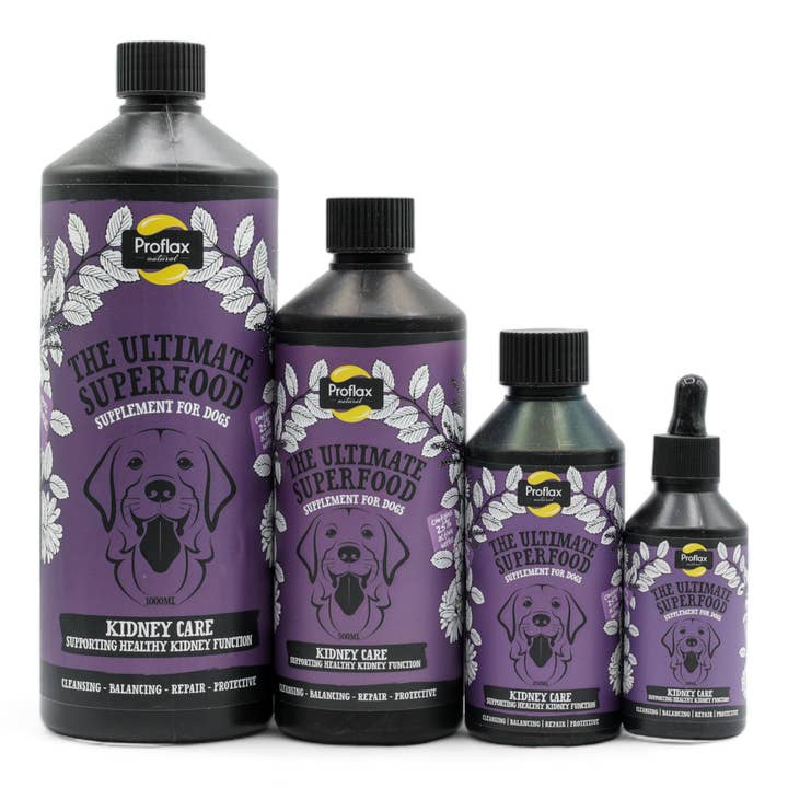 Proflax Superfood Supplements – wholesale Pet supplement – Dog – Proflax Kidney Care4