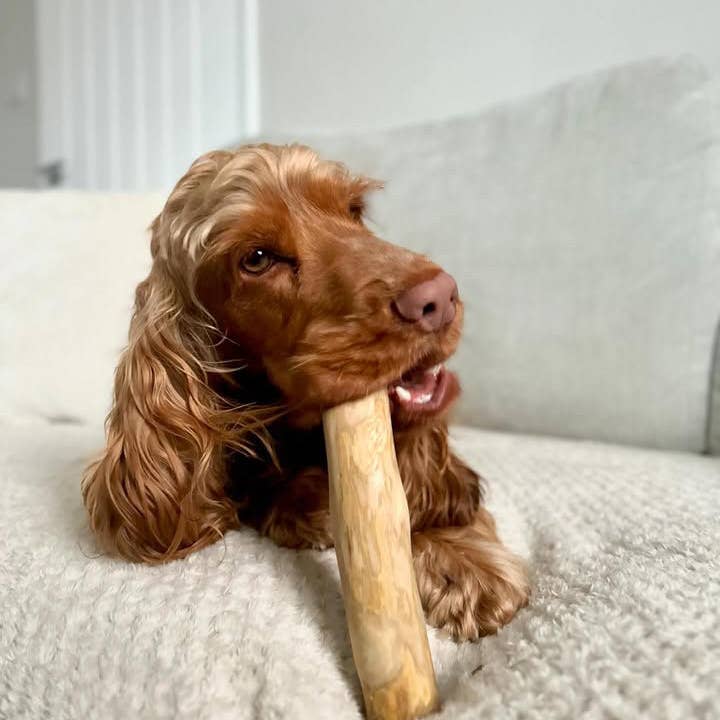 Pet Wiz - Wholesale Pet Chew Toy - Dog - Coffee Wood Chew5