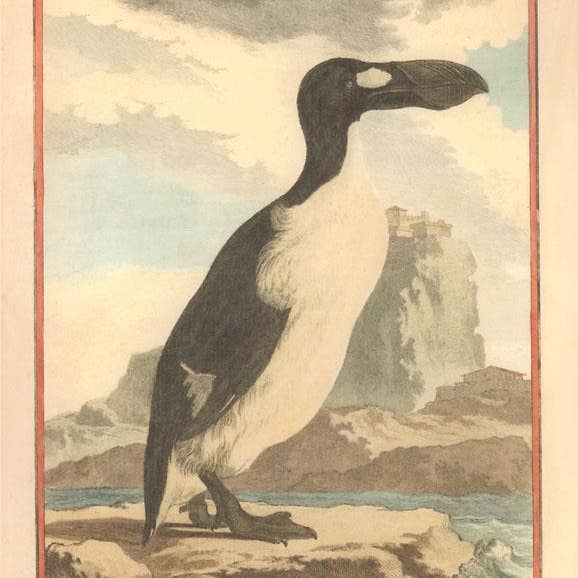 Impression d'art BD-504 Grand Pingouin pour la vente par Found Image Press