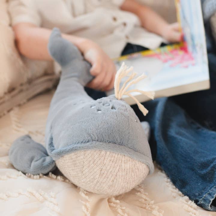 Little Lamb Kind - Wholesale Stuffed/Plush Toy - Kids & Baby - WALLY3