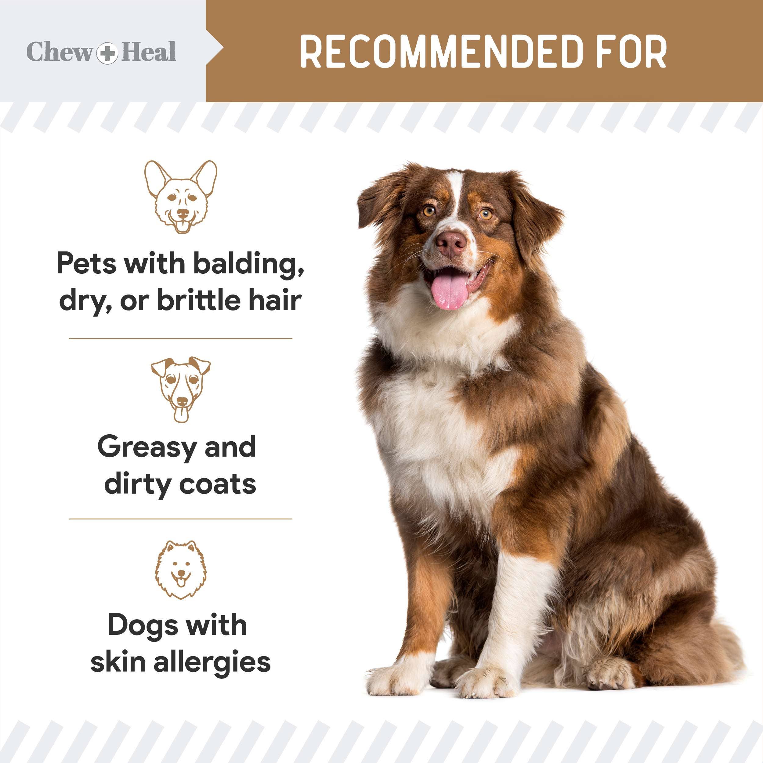 Chew + Heal - Wholesale Pet Supplement - Dog - Chew + Heal Peanut Butter Omega Skin + Coat Dog Soft Chews4