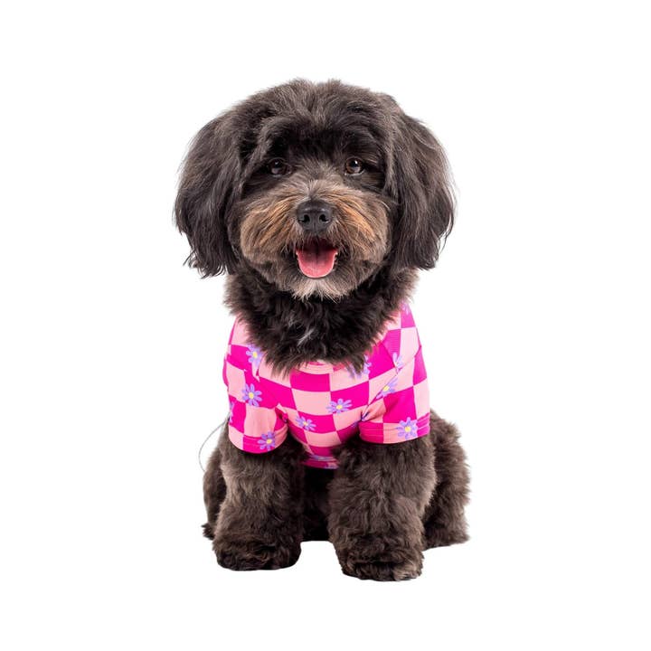 Vibrant Hound - Venta al por mayor Camisa para mascota - Perros - Camiseta refrescante Dreaming of Daisys para perro6