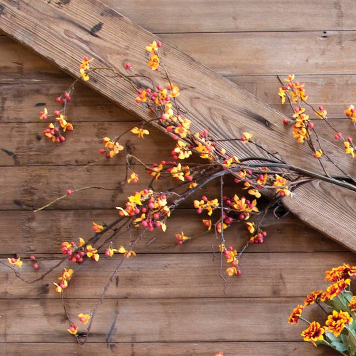 Bitter Sweet Stem for wholesale by Park Hill Collection