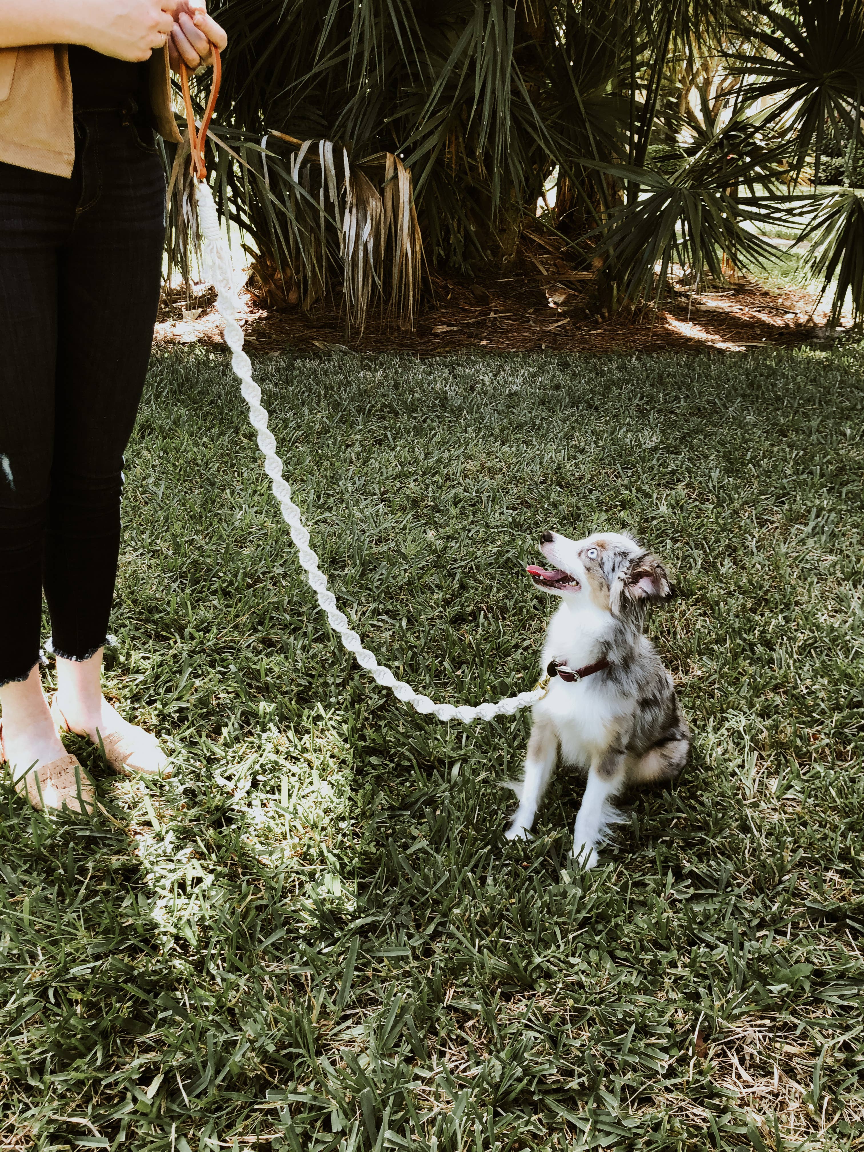 EMBER & IVORY - Wholesale Pet Leash - Dog - Macrame Dog Leash w/ Leather Handle - Natural Ivory Rope4