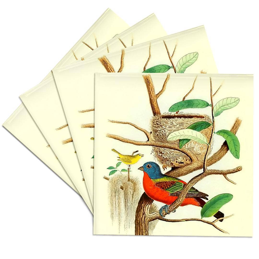 3dRose - Wholesale Coasters - 3dRose, Vintage Bird Print Painted Bunting Colorful Birds Art Illustration, Coaster0