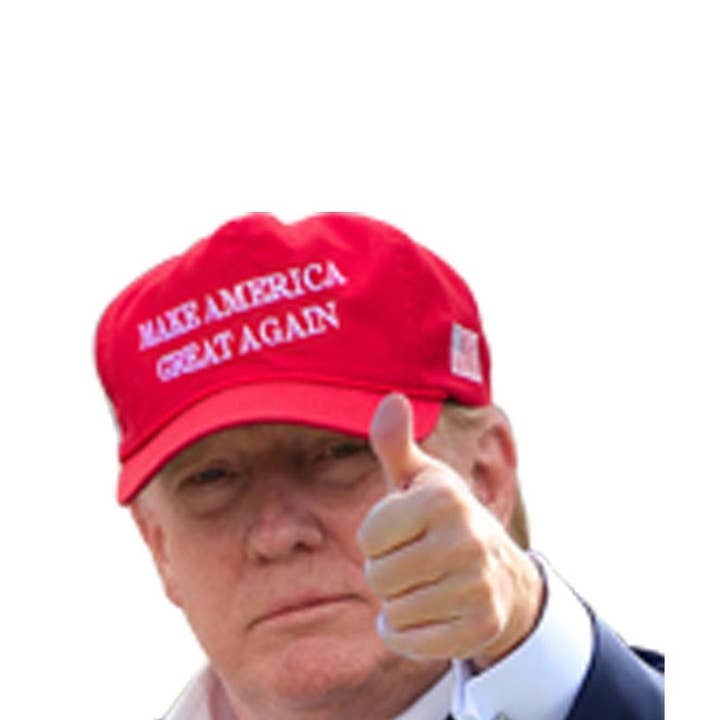 AAHS Enterprises - Wholesale Sticker - Donald Trump Decals Car Stickers Funny Left Window Peel Off Political (Trump Red hat)0