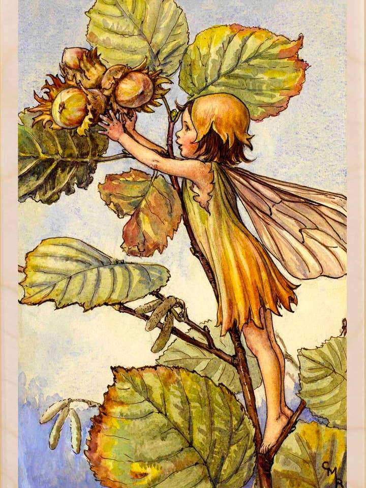 Fada da Avelã - Cartões e ímanes ecológicos por atacado de THE WOODEN POSTCARD COMPANY