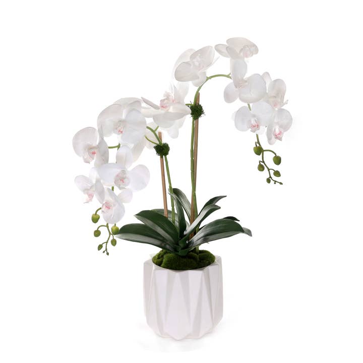 Real Touch Phalaenopsis Orchids in White Dimensional Pot for wholesale by JENNY SILKS