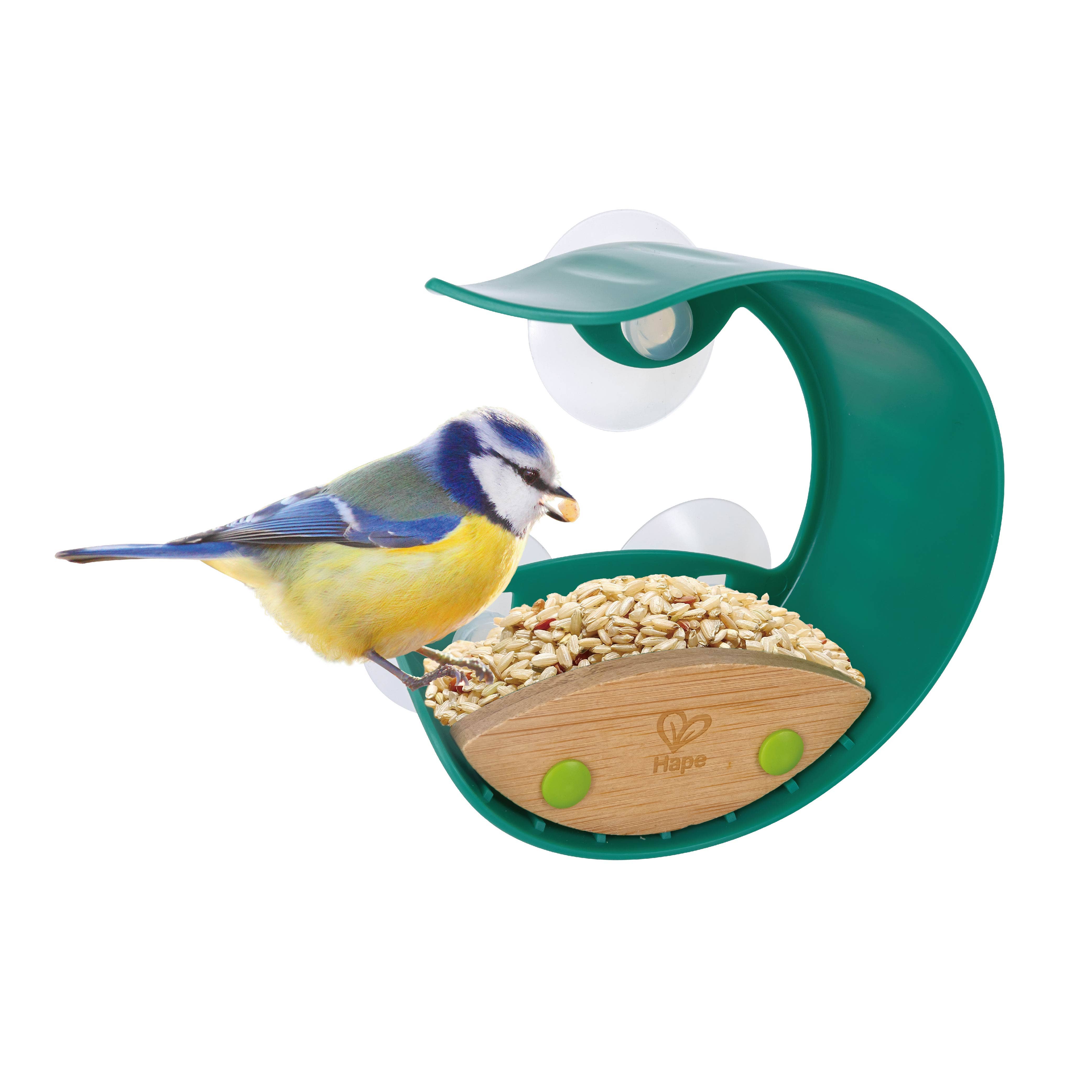 Hape Toys - Wholesale Bird Feeder - Window Bird Feeder
