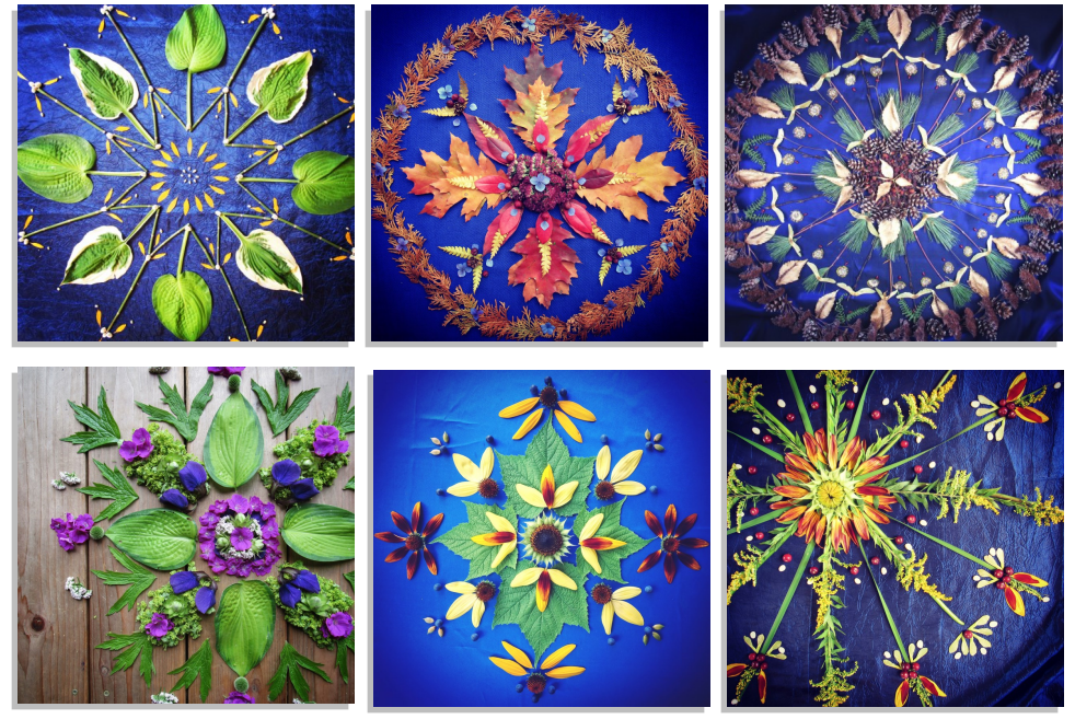 Nature Mandala Art - Wholesale Stationery/Notecard Set - Nature / Flower Mandala Gift Enclosures :: 4 Options1