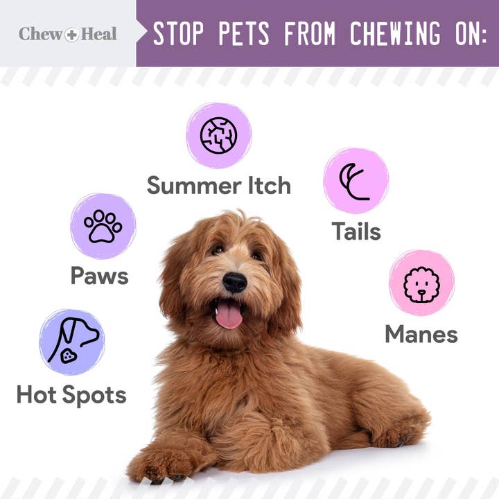 Chew + Heal – Großhandel Haustierspray – Hund – Kein Kauspray für Hunde & Katzen| Anti-Kauspray| Kauen+Heilen