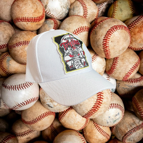 Tiny Sparrow Designs - Wholesale Baseball Cap - Unisex - Minnesota Twins Baseball Cap0