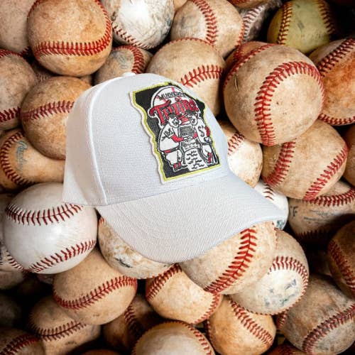 Tiny Sparrow Designs - Wholesale Baseball Cap - Unisex - Minnesota Twins Baseball Cap