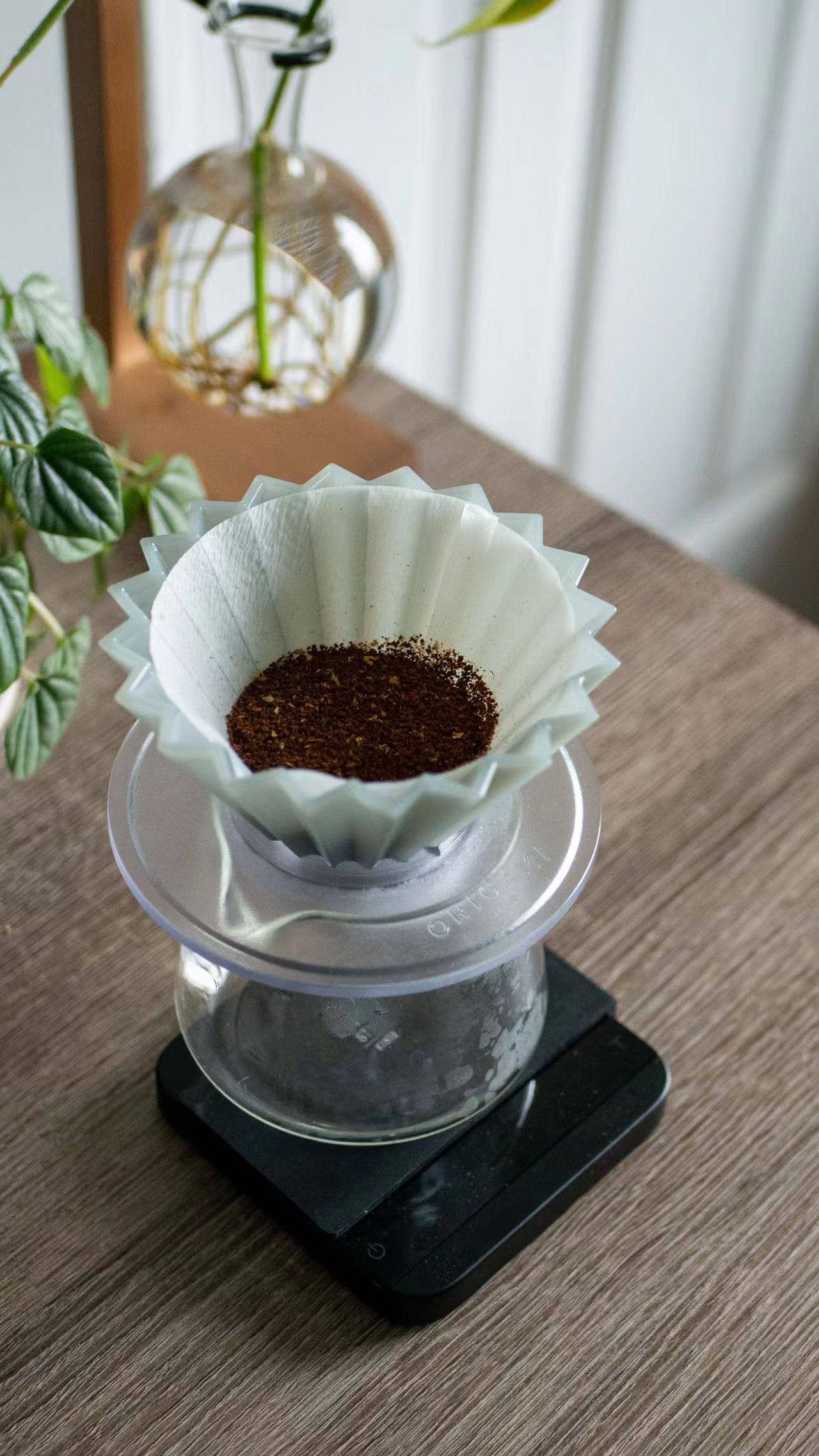 LOIS - Wholesale Coffee Filter - ORIGAMI Original Paper Filter (Cone+Wave set)10