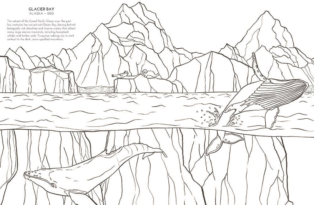 HarperCollins - Wholesale Coloring & Activity Book - Adult - National Parks Coloring Book, The: Sophie Tivona3