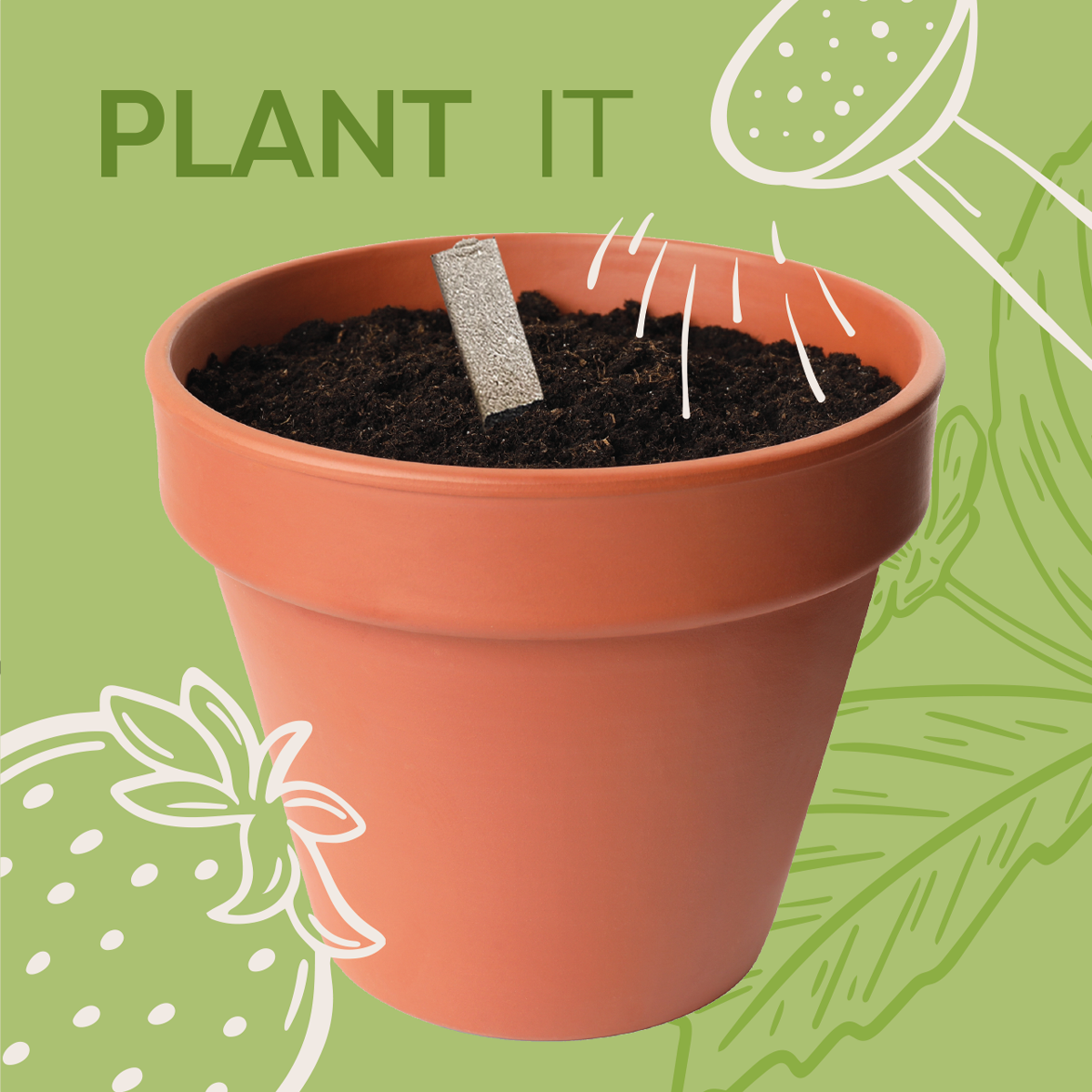 Seedsticks® – wholesale Plant seeds – Butterfly Seedsticks® 3