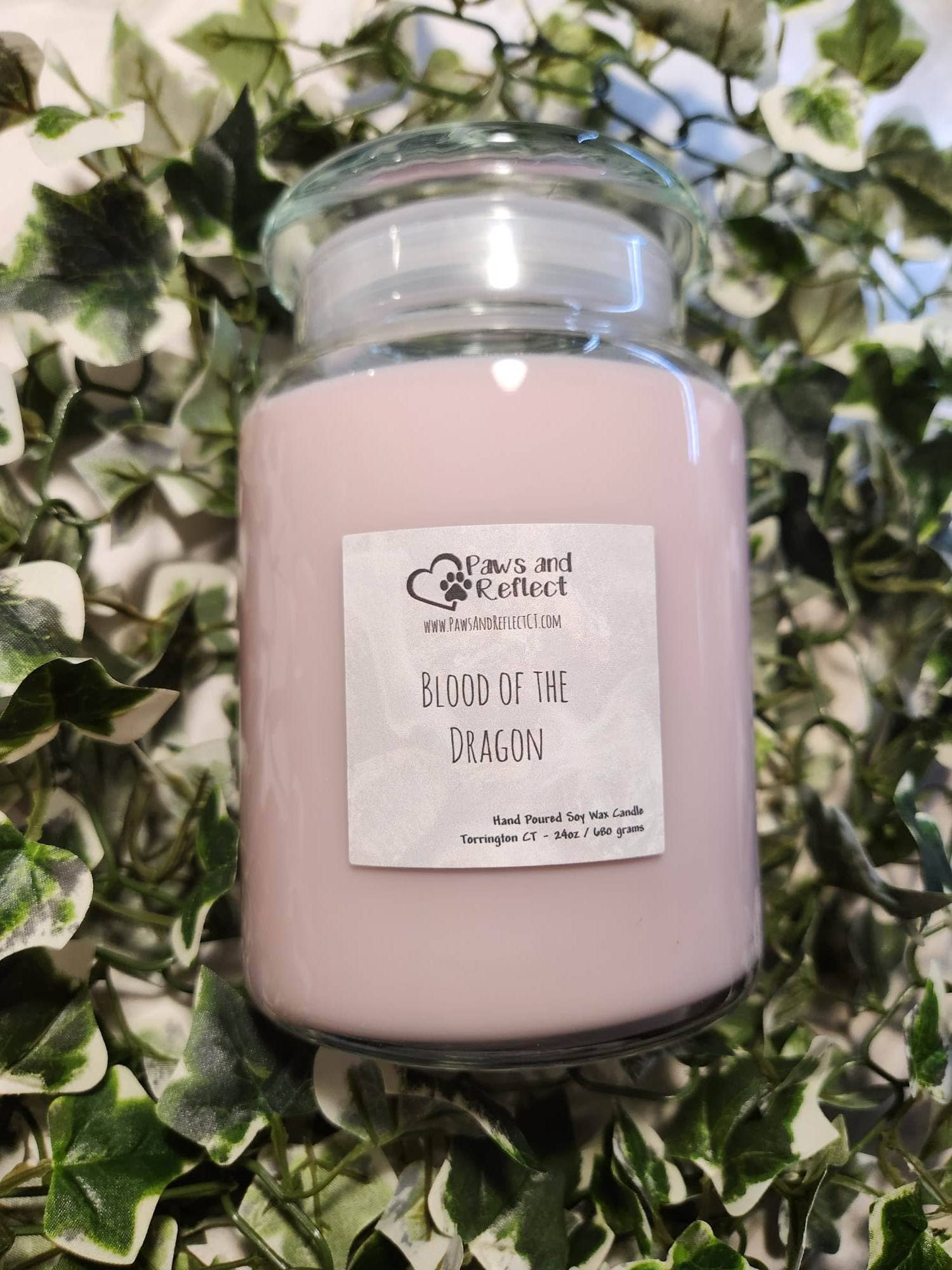Paws and Reflect – wholesale Jar/filled candle – Large 24oz Soy Wax Candle1