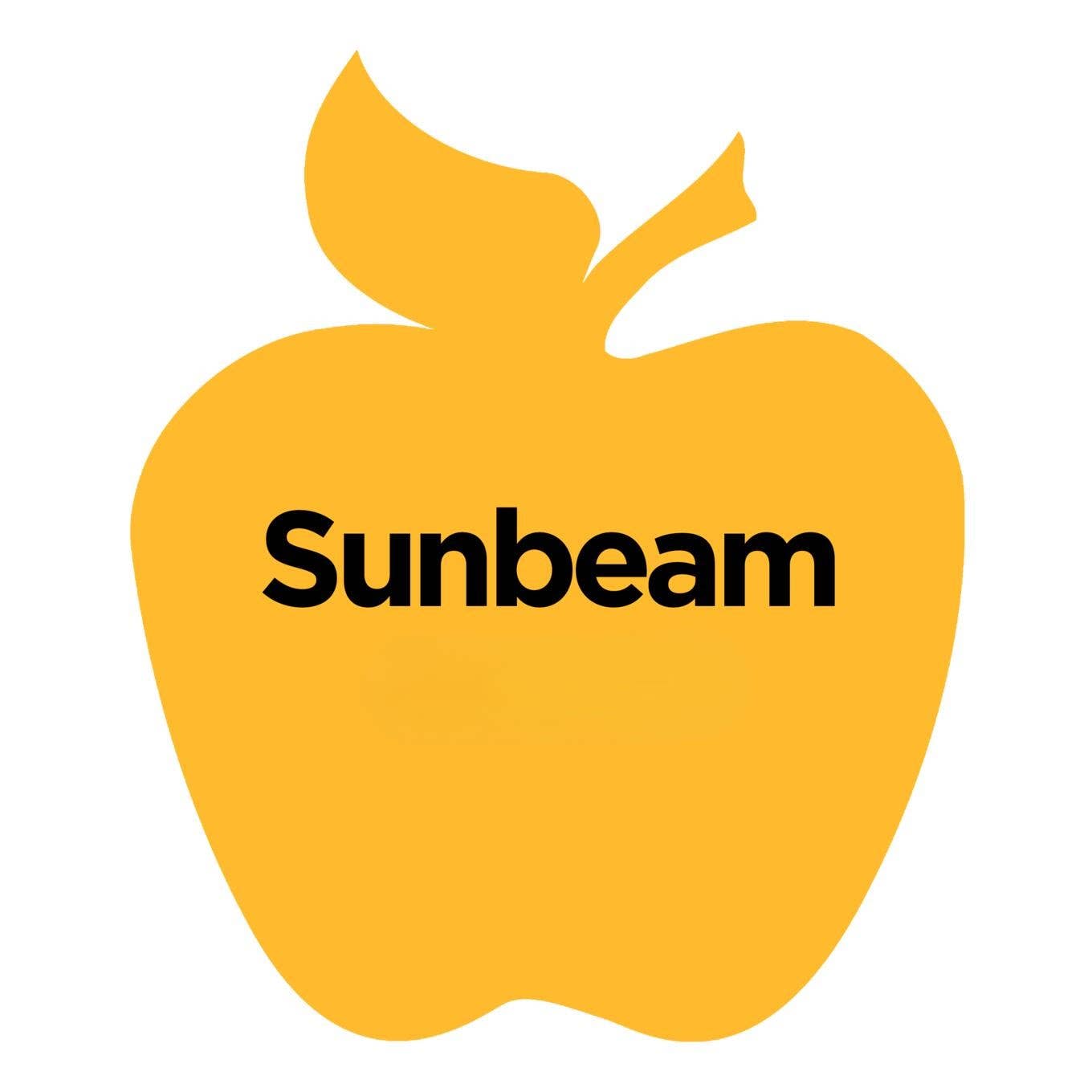 Plaid Crafts - Wholesale Acrylic Paint - Apple Barrel ® Multi-Surface Satin Acrylic Paint - 2 oz23